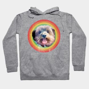 VINTAGE YORKIE RAINBOW Hoodie